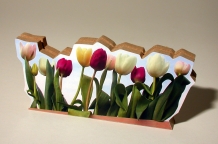 images/productimages/small/groeten uit Holland.jpg